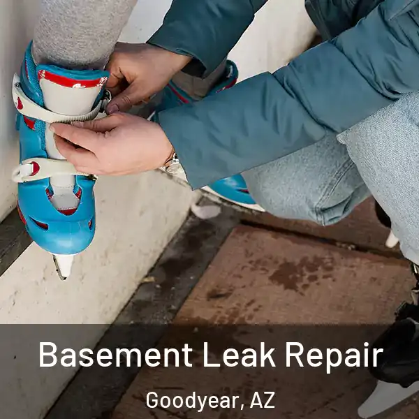  Basement Leak Repair Goodyear, AZ