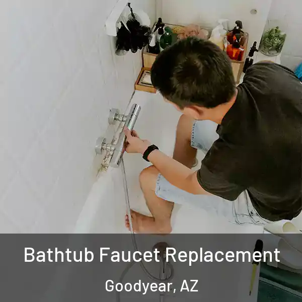  Bathtub Faucet Replacement Goodyear, AZ