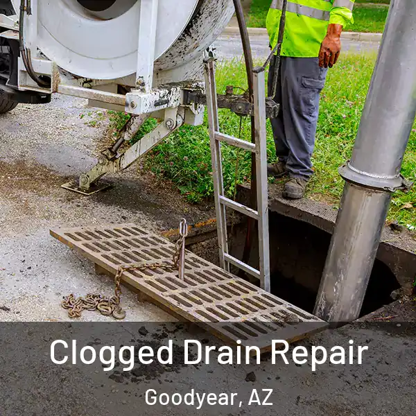  Clogged Drain Repair Goodyear, AZ