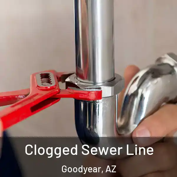  Clogged Sewer Line Goodyear, AZ