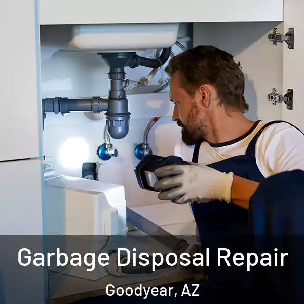  Garbage Disposal Repair Goodyear, AZ