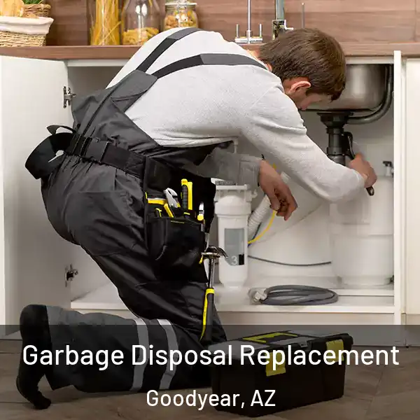  Garbage Disposal Replacement Goodyear, AZ