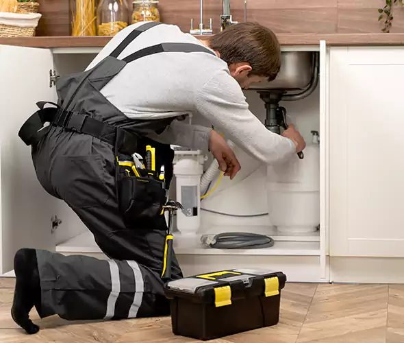 Certified Plumbers for Insinkerator Installation in Goodyear