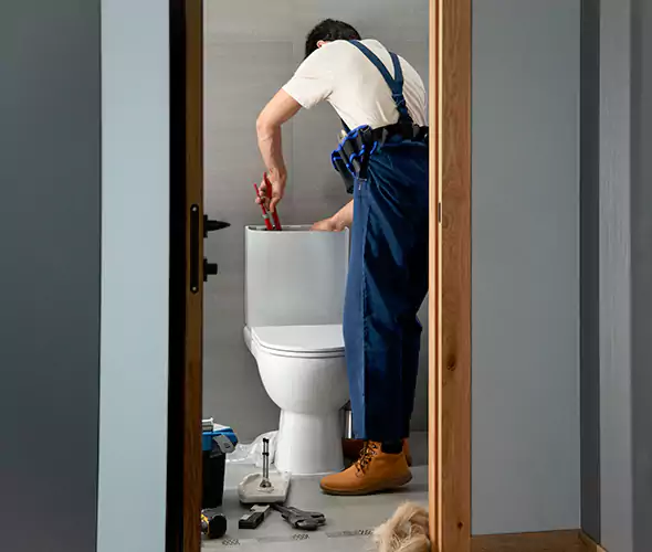 Professional Plumbers for Toilet Bowl Replacement in Goodyear, AZ: Schedule Affordable Toilet Replacement Services With Us
