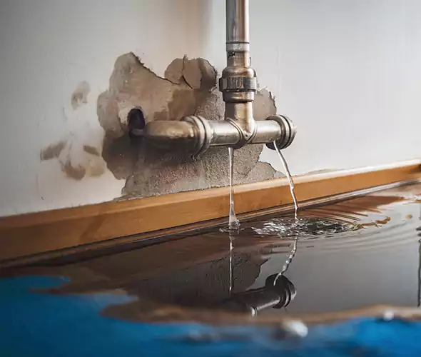 Professional Water Damage Restoration Experts in Goodyear, AZ — Fast, Reliable & Certified