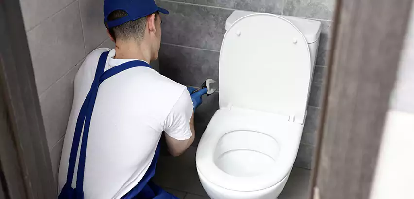 Toilet Lid Replacement in Goodyear