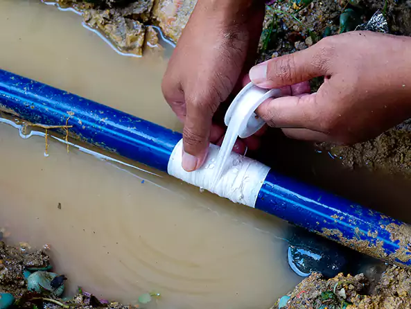  Why Choose Goodyear Plumbing Pro for Leak Detection in Goodyear, AZ?]