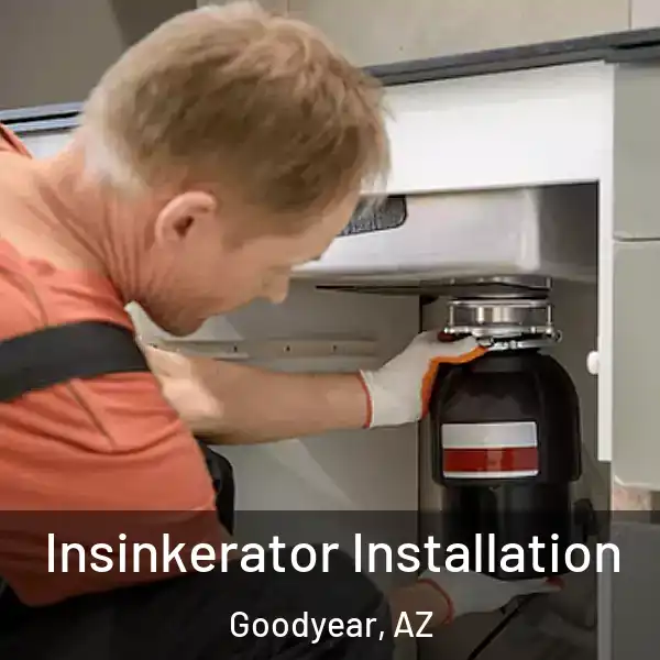  Insinkerator Installation Goodyear, AZ