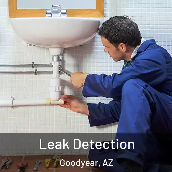  Leak Detection Goodyear, AZ