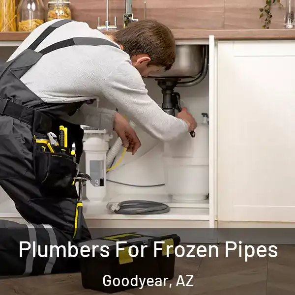  Plumbers For Frozen Pipes Goodyear, AZ