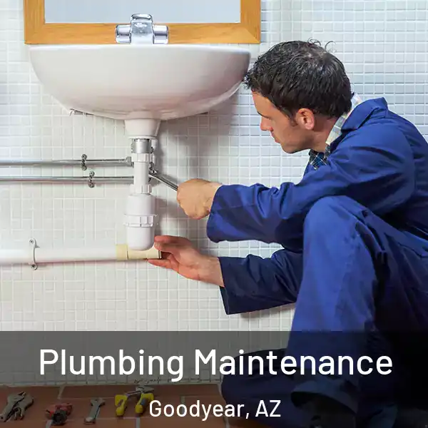  Plumbing Maintenance Goodyear, AZ