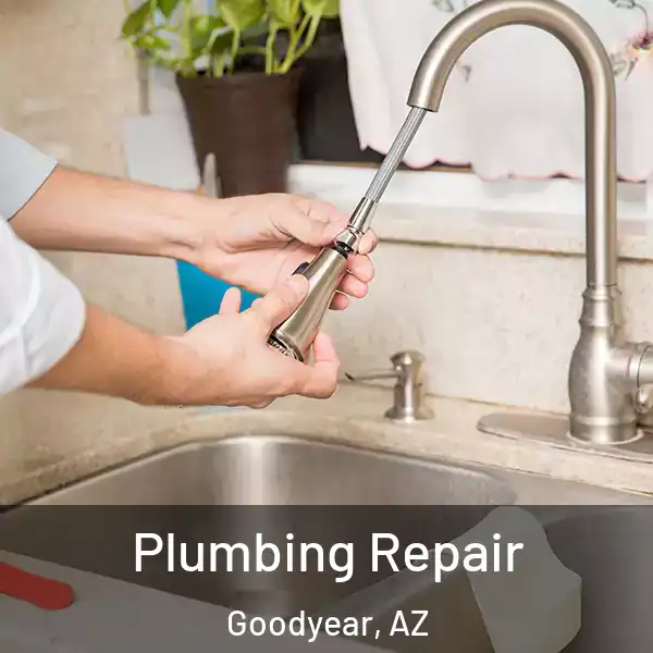  Plumbing Repair Goodyear, AZ