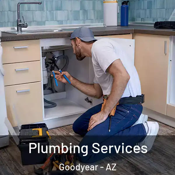  Plumbing Services Goodyear - AZ