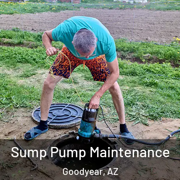  Sump Pump Maintenance Goodyear, AZ