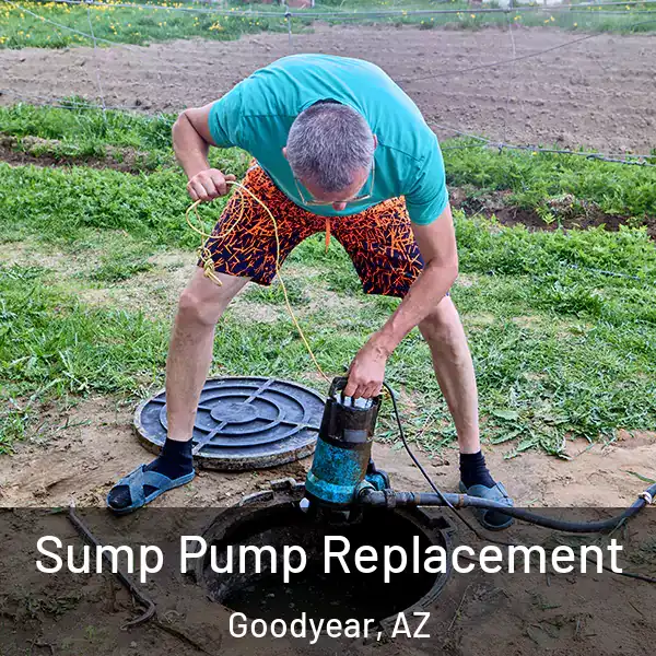  Sump Pump Replacement Goodyear, AZ