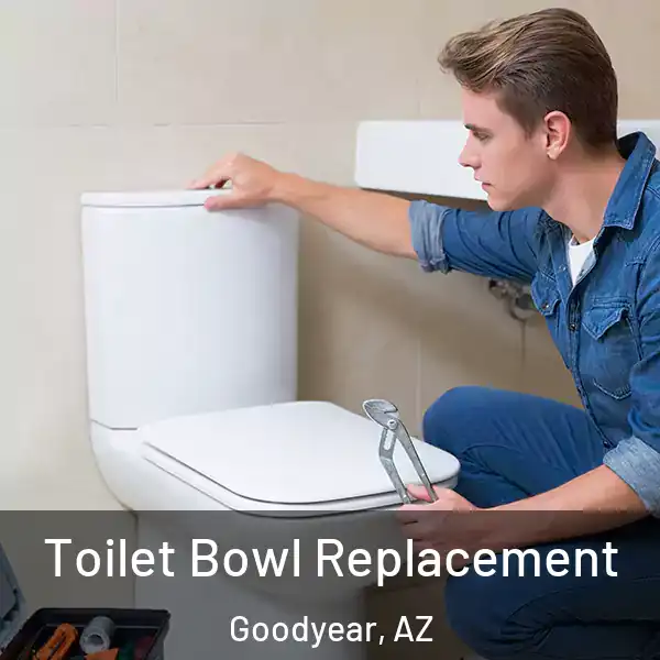  Toilet Bowl Replacement Goodyear, AZ