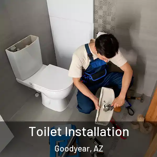  Toilet Installation Goodyear, AZ