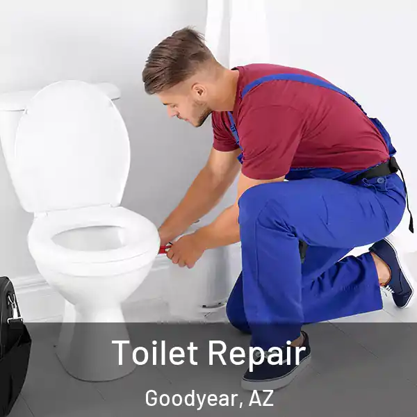  Toilet Repair Goodyear, AZ