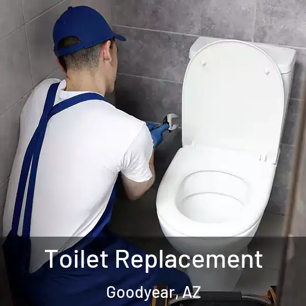  Toilet Replacement Goodyear, AZ