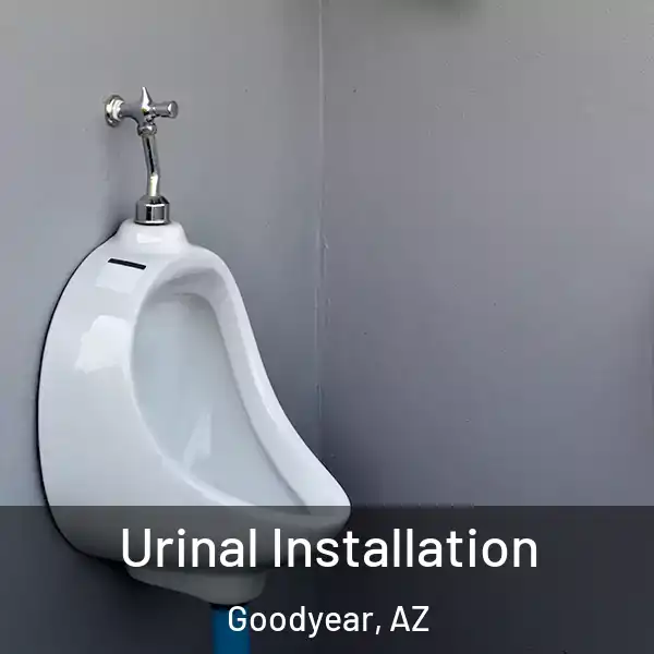  Urinal Installation Goodyear, AZ