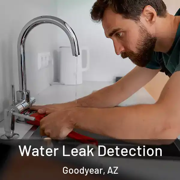  Water Leak Detection Goodyear, AZ