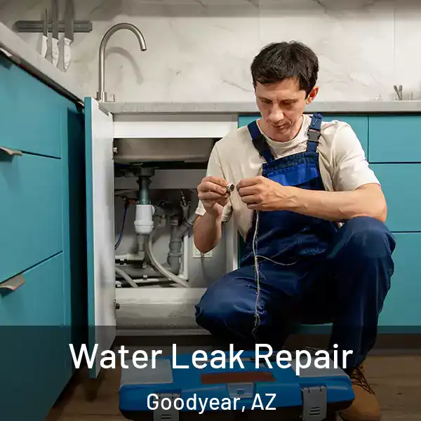  Water Leak Repair Goodyear, AZ